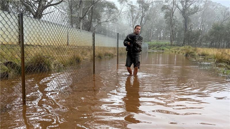 Aussie-Ark-Direktor Tim Faulkner brachte viele Tiere in Sicherheit - wie diesen Tasmanischen Teufel. 