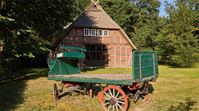 Brennnesseln statt Chia: Kräuterwanderung zur Heideblüte Autofreies Örtchen Wilsede in der Heide.