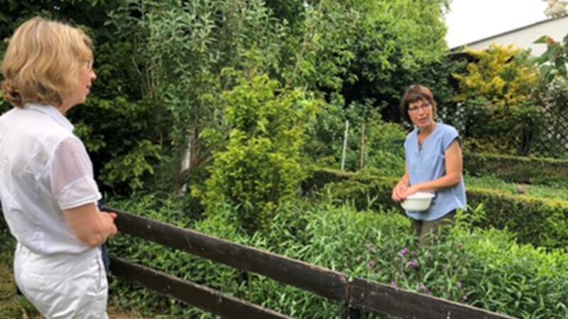 Rat Bad Gandersheim befasst sich mit Urteil des Oberverwaltungsgerichts Bad Gandersheims Bürgermeisterin Franziska Schwarz bei einem „Gespräch über dem Gartenzaun“. Das Oberverwaltungsgericht Lüneburg sieht darin im Wahlkampf eine Verletzung der Neutralitätspflicht.