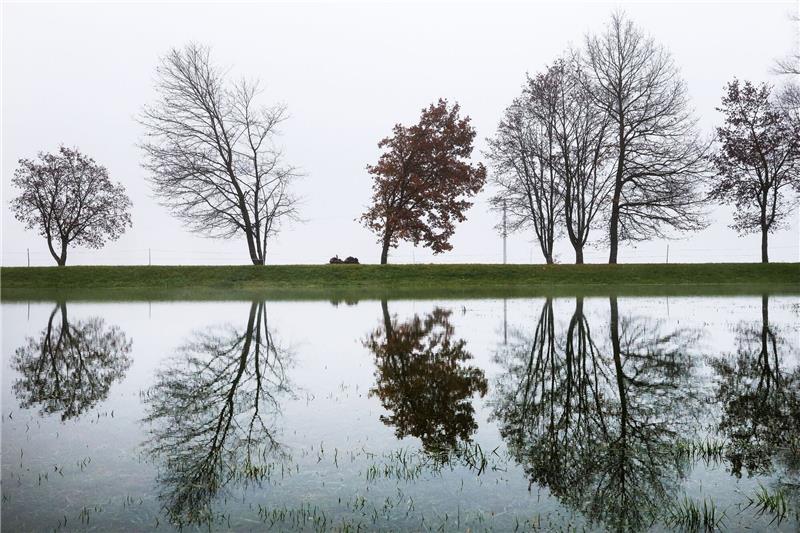 Bäume auf einem Damm spiegeln sich in einer Wiese im Hochwasser der Donau wieder.