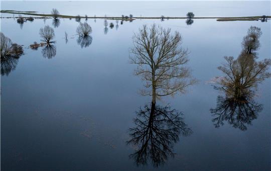 Bäume stehen auf einer unter Wasser stehenden Wiese und spiegeln sich in der Wasseroberfläche.