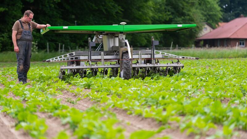 Bald könnten auf Niedersachsens Feldern noch mehr Roboter zum Einsatz kommen als bisher. (Archivbild)