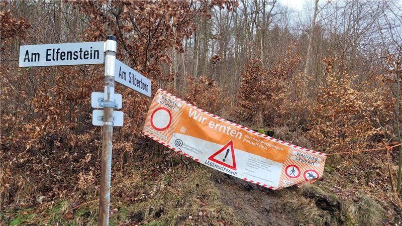 Banner an den Waldeingängen weisen im Bereich Am Elfenstein/Am Silberborn auf die Baumfällungen hin.