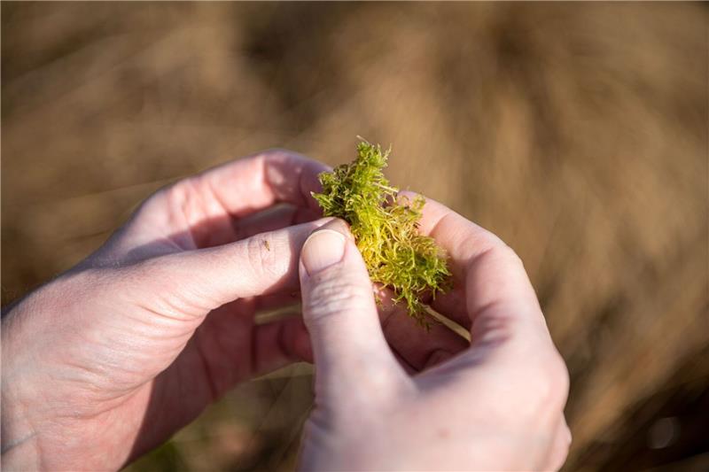 Bauernverbände haben die Sorge, dass Landwirte durch Vorgaben zu sehr eingeschränkt werden könnten.