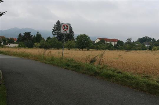 Baugebiete sind die Lebensader für alle Ortschaften. In der Ortsrandlage Rosenstraße sollen Bauplätze entstehen.