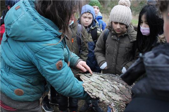 Baumrinden und andere Naturmaterialien werden bei den künftigen kreativen Projekten des Vereins „Wald für morgen“ eine Rolle spielen. Foto: GZ-Archiv