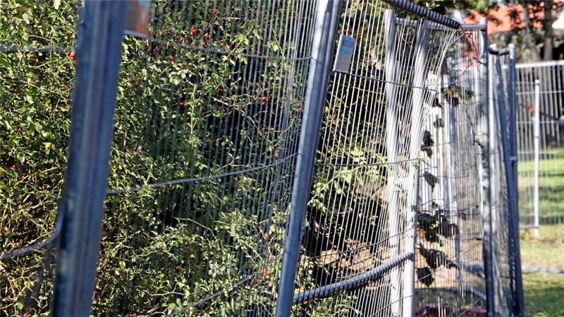 Bauzäume umgeben das Bau-Biotop am Lutteraner Mühlenteich. Ende November sollen die Arbeiten enden.