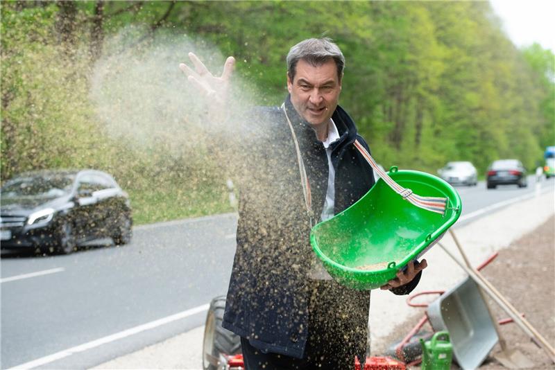 Söders Kommunikationsstrategie lässt Foto-Kosten explodieren Bayerns Ministerpräsident Markus Söder (CSU) bringt Saatgut für einen «Bienen-Highway» in Schwaig Bei Nürnberg aus.