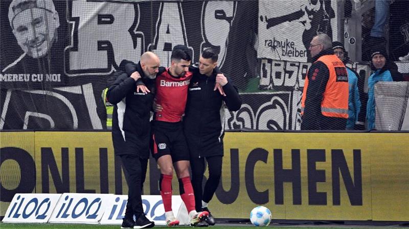 Bayers Terrier verletzte sich früh.