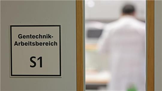 Befürworter erhoffen sich Obst- und Gemüsesorten, die ertragreicher, resistenter gegen den Klimawandel und nährstoffreicher sind.