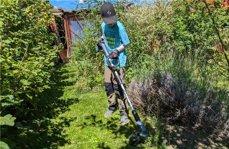 Junge Kleingärtner werkeln im Beet in Bad Harzburg Bei „Ab ins Beet“ lernen die jungen Gärtner, mit verschiedenen Gartenwerkzeugen umzugehen.