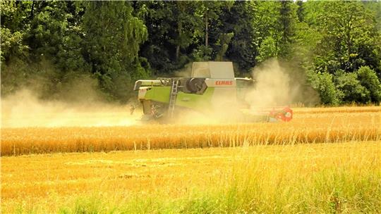 Bei Alt Wallmoden an der B 248 erntet ein Landwirt vor zwei Wochen die Gerste, bevor der große Regen kommt. Foto: Biener