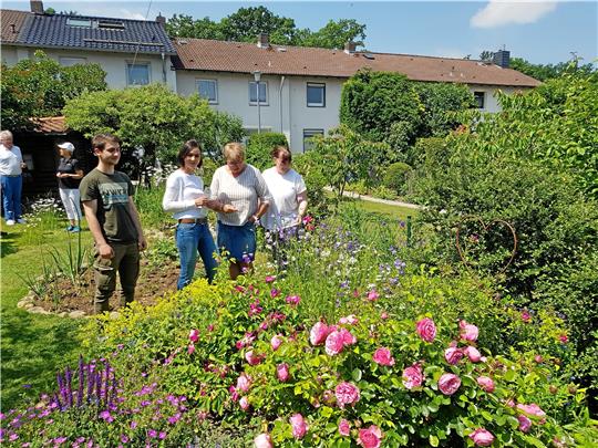 Bei Dagmar Krüger-Nitsche (2.v.li) und ihrem Sohn Leon Nitsche (li.) geben sich die Besucher die Klinke der Gartenpforte in die Hand. In dem Reihenhausgarten wachsen Rosen wie die „Leonardo da Vinci“ (vorne) und viele verschiedene Stauden. Das Beet hinter der Gruppe ist übrigens das Gemüsebeet von Leon Nitsche. Fotos: Borchers