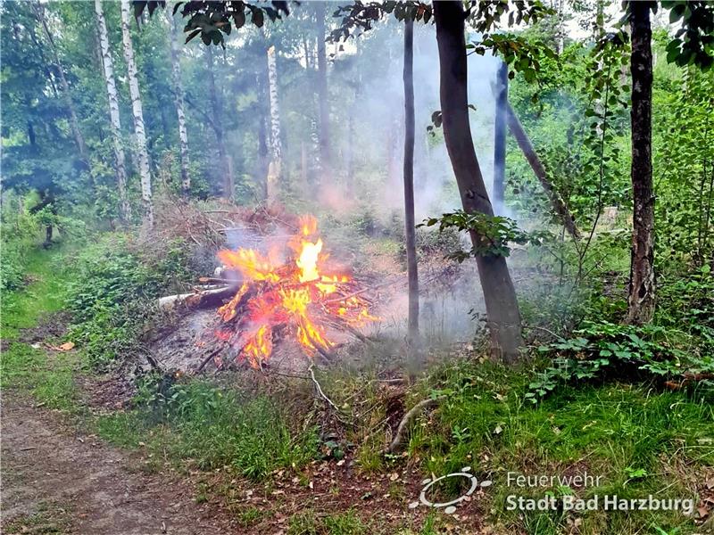 Wieder ein Waldbrand bei Göttingerode Bei Eintreffen der Feuerwehren schlagen bereits hohe Flammen aus dem Reisighaufen. Der Brand kann allerdings auf eine Fläche von 10 bis 15 Quadratmeter begrenzt werden. Foto: Feuerwehr
