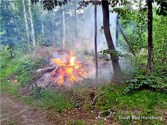 Bei Eintreffen der Feuerwehren schlagen bereits hohe Flammen aus dem Reisighaufen. Der Brand kann allerdings auf eine Fläche von 10 bis 15 Quadratmeter begrenzt werden. Foto: Feuerwehr