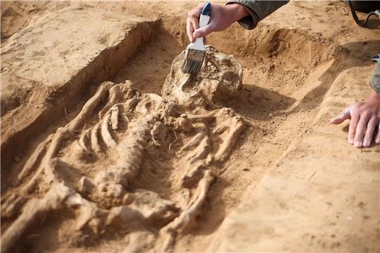 Bei Grabungen auf dem Gelände der Königspfalz Helfta wurden auch zwei Gräber aus dem 9. Jahrhundert freigelegt.
