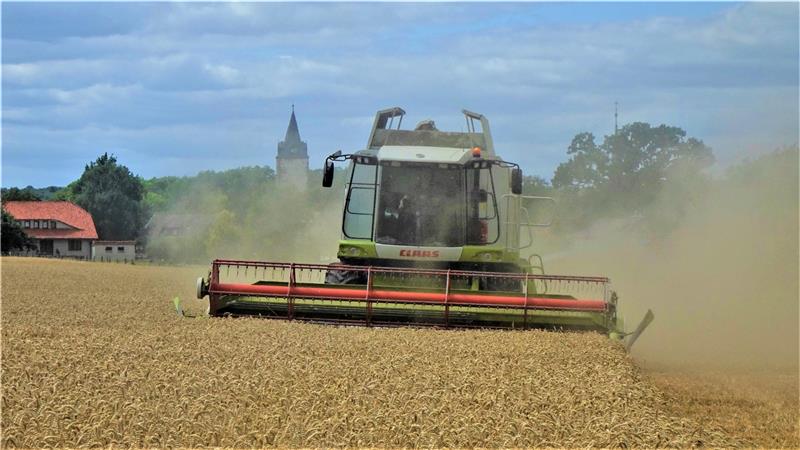 Bei Lutter ist die Weizenernte so gut wie abgeschlossen. Die Landwirte im Nordharz rechnen in diesem Jahr mit einem maximal durchschnittlichen Ertrag, was Menge und Qualität betrifft. Foto: Biener