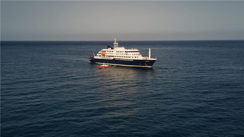 Wie gefährlich ist das Hantavirus auf einem Kreuzfahrschiff? Bei Passagieren des niederländischen Kreuzfahrtschiffs „Hondius“ wurden spezifische Hantaviren nachgewiesen.