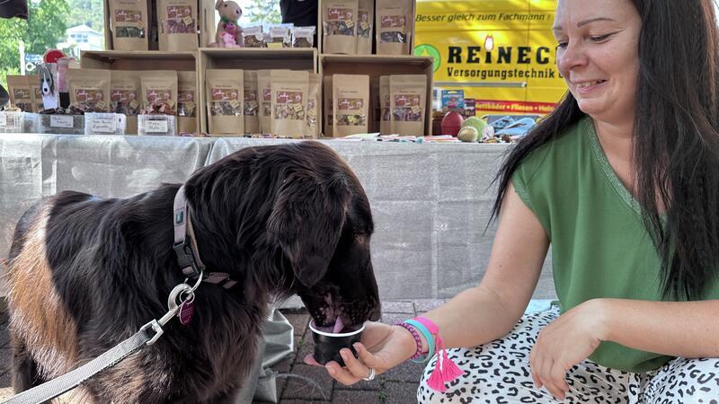 Bei Sylvia Pfeifenschneider werden Hunde glücklich: Pepe genießt sein Erdbeer-Käse-Eis mit ganzen Käsestücken.