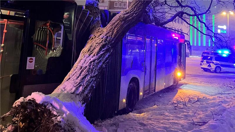 Bei Winterwetter in Hildesheim ist ein Bus gegen einen Baum gefahren und hat diesen entwurzelt.