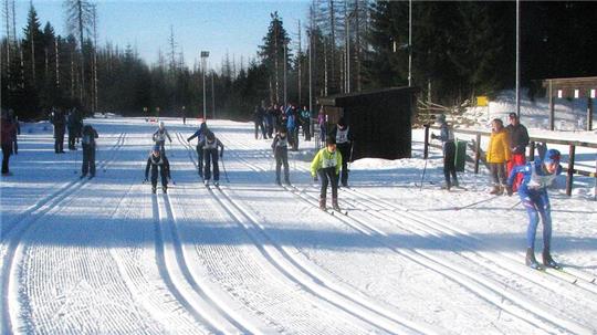 Bei besten Bedingungen wird der Ski-Langlauf-Schulwettbewerb „Jugend trainiert für Olympia“ am Sonnenberg ausgetragen. 