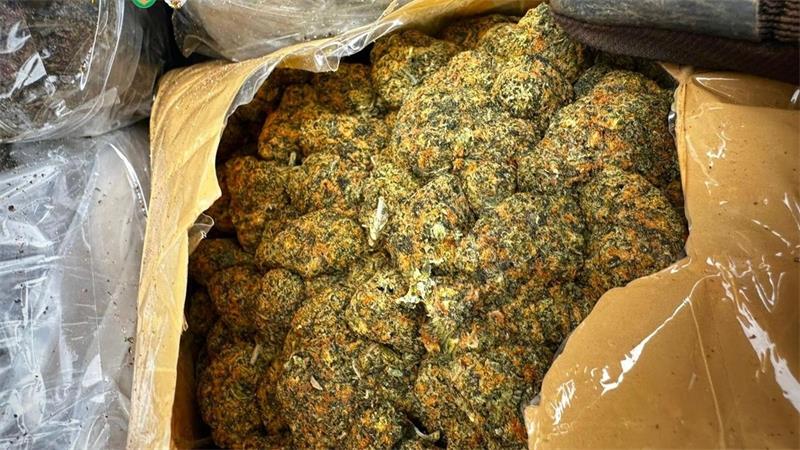Drogen im Wert von zwölf Millionen Euro im Hafen entdeckt Bei den Drogen handelt es sich um Cannabis.