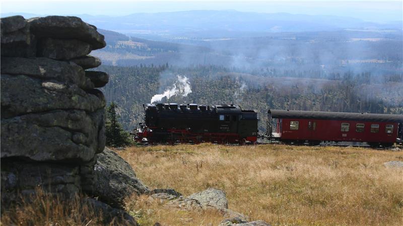 Bei den Fahrgastzahlen ging es für die Harzer Schmalspurbahnen bergauf - allerdings auch bei den Kosten. (Archivbild)