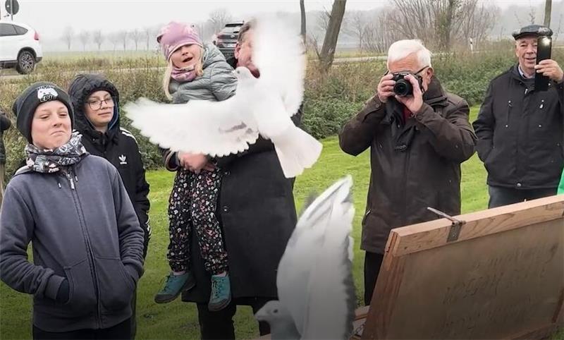 Hessendamm: Am Ort des Kalten Krieges steigen Friedenstauben auf Bei den Feierlichkeiten zu 35 Jahren Grenzöffnung steigen am Hessendamm, einem Ort des Kalten Krieges, Friedenstauben auf.