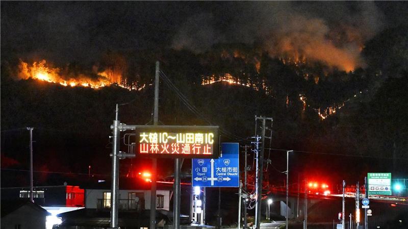 Bei den Waldbränden sind bislang keine Personen ums Leben gekommen. 