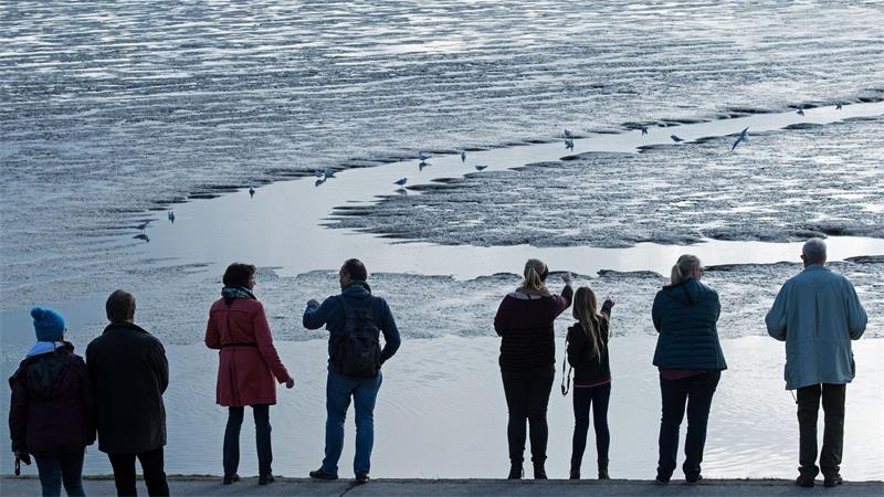 Zugvögel sind da – Tipps für Exkursionen und Beobachtungen Bei den Zugvogeltagen gibt es mehr als 300 Veranstaltungen rund um den Vogelzug. (Archivbild)