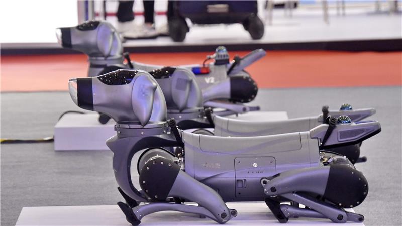 Bei der Weltroboterkonferenz 2025 in Peking werden Roboterhunde und Entwicklungstrends bei verkörperten intelligenten Robotern präsentiert – mit Fokus auf Kognition, Entscheidungsfindung und Sicherheit.