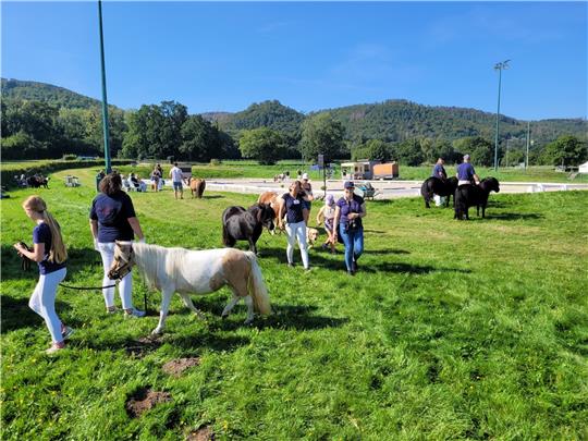 Bei der Zuchtschau werden Ponys unterschiedlichsten Aussehens gezeigt. Stolz führen ihre Besitzer sie zum und vom Platz. Fotos: Exner