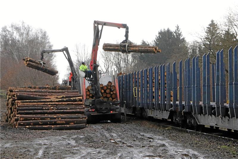 Bei der alten Hauptgenossenschaft Klein Mahner reaktiviert die Tourismus- und Warnetalbahn GmbH als Infrastrukturbetreiber der Strecke im Warnetal die alte Ladestraße. Dort werden von den Holztransportern die Stämme auf die Waggons umgeladen.  Fotos: Gereke, Privat