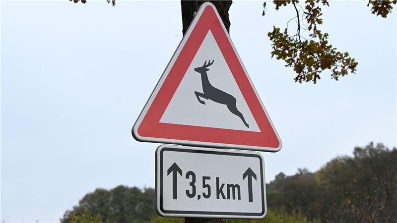 Bei einem Unfall in Varel gab es mehrere Verletzte. (Symbolbild)