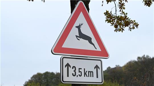 Bei einem Unfall in Varel gab es mehrere Verletzte. (Symbolbild)