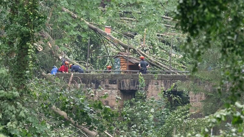 Bei einem Unwetter stürzten zalhreiche Bäume um. 