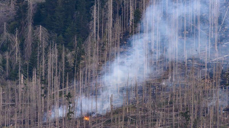 Bei einem Waldbrand am Königsberg unterhalb vom Brocken im Harz steigt dichter Rauch auf.