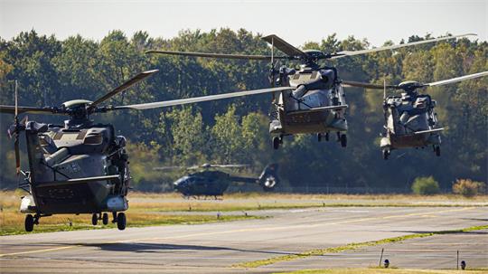 Bei einer Flugvorführung der Heeresfliegertruppe waren mehr als 35 Hubschrauber in der Luft. 