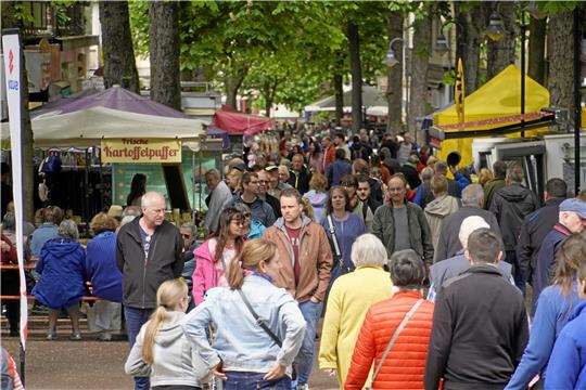 Bei gutem Wetter ist das Kastanienblütenfest ein Selbstläufer und das Gedränge in der Bummelallee nimmt Lichterfestdimensionen an. Die Besucher kommen zu Tausenden. Fotos: Schlegel