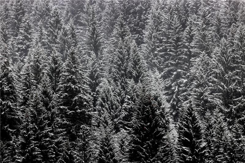 Bei saisonalen Klimavorhersagen ist die Unsicherheit groß, da viele Faktoren mit einfließen müssen. Foto: Karl-Josef Hildenbrand/dpa