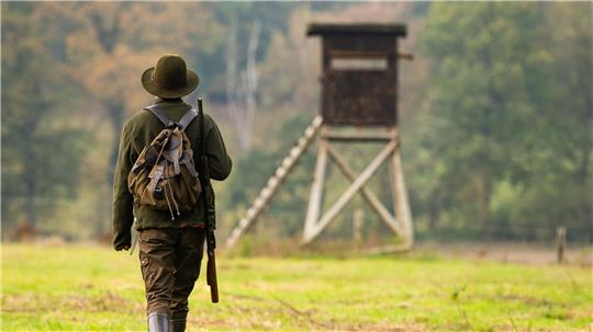 Bei verschiedenen Tierarten haben die Jagdstrecken in Niedersachsen Höchstwerte erreicht. (Archivbild)