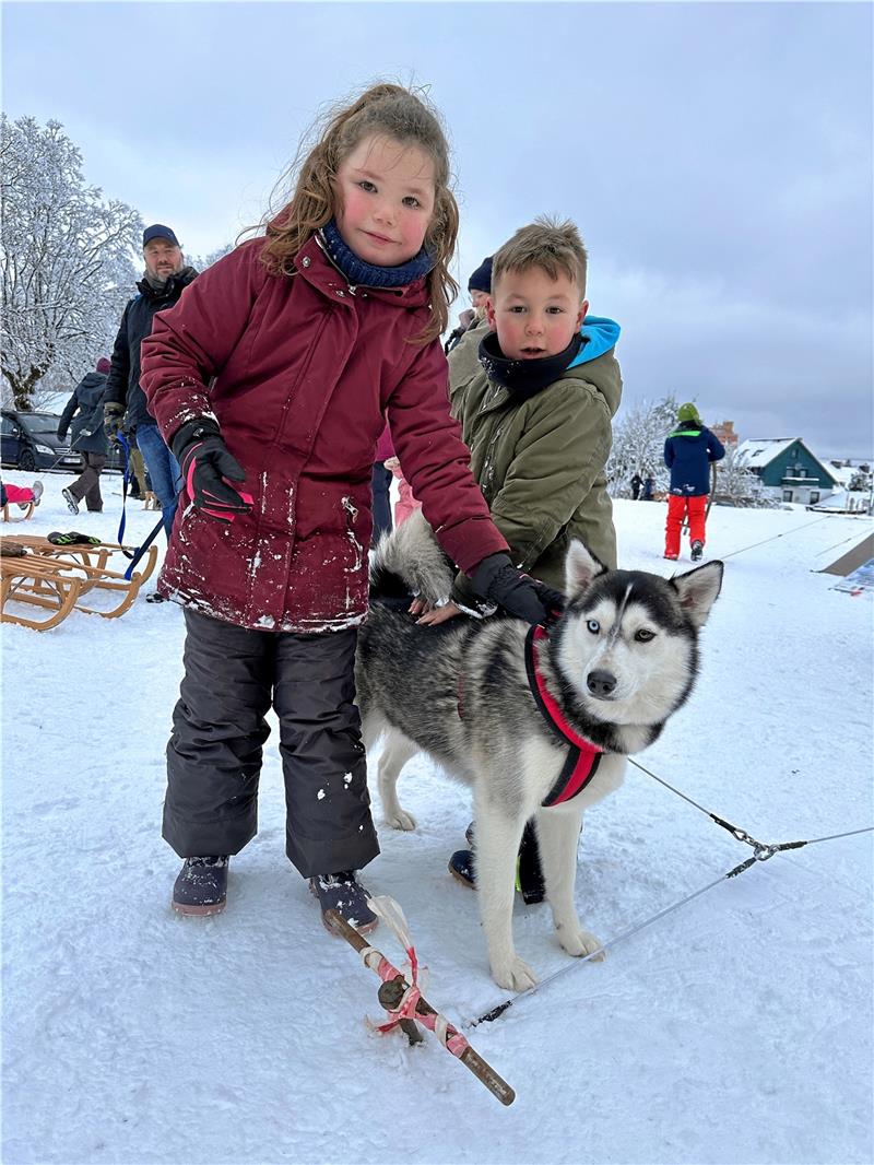 Bei wenig Schnee sollen die Besucher mit den Hunden in Kontakt kommen können. Archivfoto: Schlegel