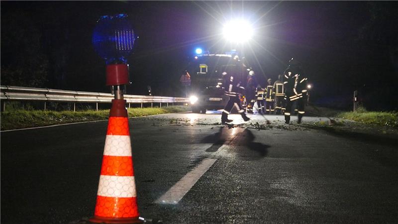 Zwei Autofahrer bei Kollision mit Rindern verletzt Beide Autofahrer werden verletzt, zwei Rinder sterben. (Symbolbild)