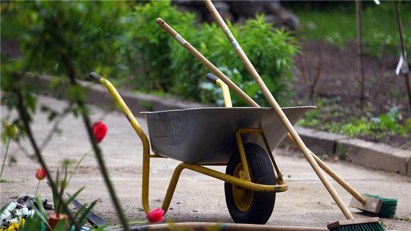 Eine Schubkarre und Gartengeräte stehen in einem Schulgarten.