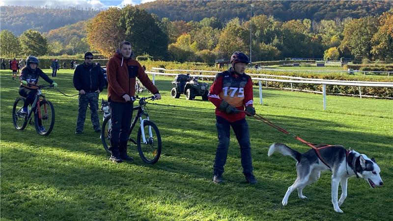 Beim Bikejöring werden Fahrradfahrer vom Hund gezogen.