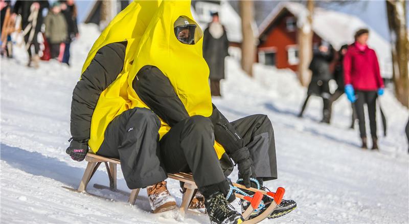 Zwei Menschen rodeln verkleidet den Berg hinunter.