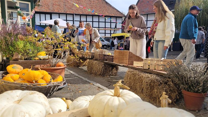 Mehrere Menschen schauen sich auf einem Markt Kürbisse an.