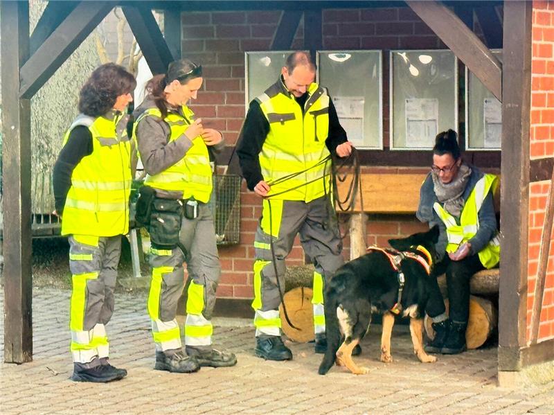 Langelsheim: Rettungshundesport ist der neue Trend Beim Mantrailing können einzelne Personen gezielt gesucht werden.
