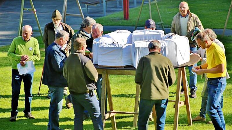 Altenauer Finkenmanöver: Gefiederte Solisten singen um die Wette Beim Nahsingen rücken die Buchfinken und ihre Bauer in jeder Runde weiter zusammen.