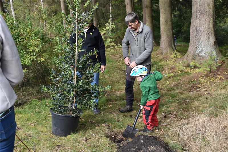 Beim Pflanzen des Ilex hilft auch der kleine Anton Kohlrusch mit, Enkel vom Förster Harald Laubner. Fotos: Breutel